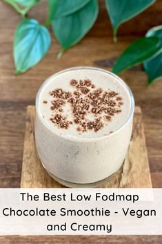 the best low fodmap chocolate smoothie - vegan and creamy