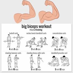 a poster showing how to do the big biceps workout