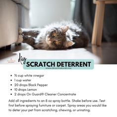 a cat laying on the floor next to a chair with text describing it's scratch deterent