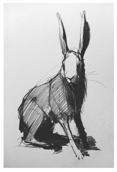 a black and white drawing of a rabbit sitting on the ground with its head turned to the side