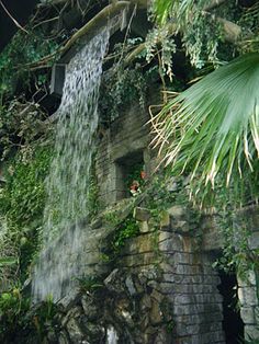 a waterfall coming out of the side of a stone wall into a jungle like area