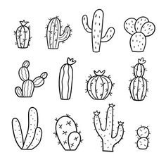 the different kinds of cactuses are shown in this black and white drawing style illustration