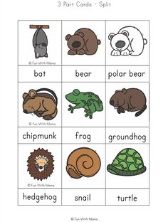 the printable worksheet for beginning and ending sounds with pictures of different animals