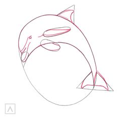 how to draw a dolphin head step by step