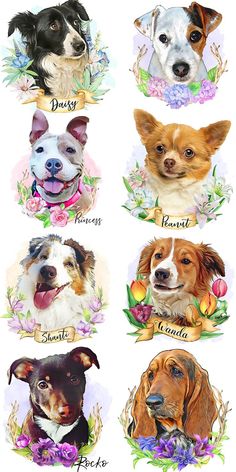 four dogs with different names and flowers on their heads, all in the same color