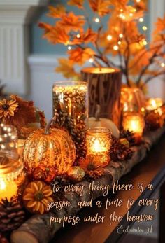 some candles are sitting on a table with pine cones and pumpkins around the candle holders