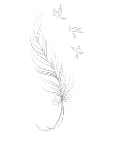 a pencil drawing of a feather and two birds flying in the sky with one bird on it's tail