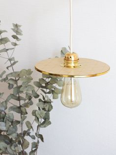 a light hanging from a ceiling next to a potted plant