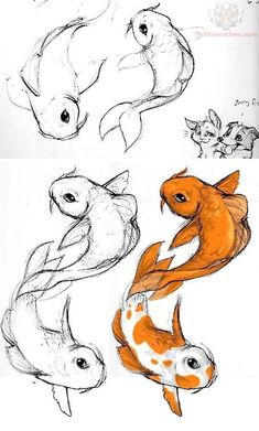 some drawings of different types of fish in various stages of development, including an orange and white koi