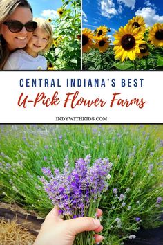 the central indiana's best u - pick flower farms