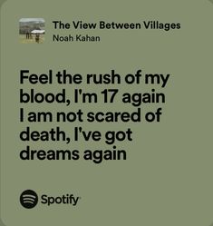 Concert Captions For Instagram Noah Kahan, Stick Season Lyrics Aesthetic, Stick Season Noah Kahan Lyrics, Noah Kahan Concert Makeup, Noah Kahan The View Between Villages, Homesick Noah Kahan Lyrics, Come Over Noah Kahan, Noah Kahan Vibes, The View Between Villages Noah Kahan Tattoo