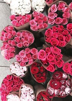 a bunch of flowers that are laying on the ground in front of each other and ready to be sold