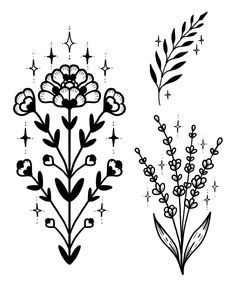 three different types of flowers and leaves on a white background, one is black and the other is white