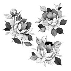 three black and white flowers with leaves