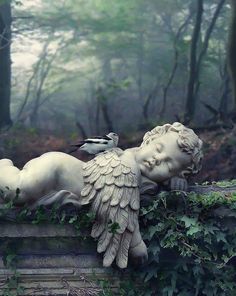 an angel statue laying on top of a lush green forest next to a quote about love