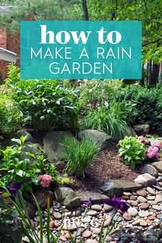 a garden with rocks and flowers in the foreground text reads how to make a rain garden