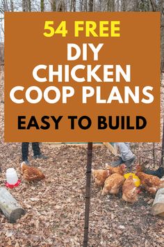 a sign that says, 54 free diy chicken coop plans are easy to build