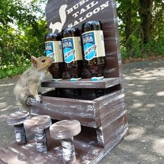 a squirrel is sitting on top of a wooden crate with beer bottles in front of it