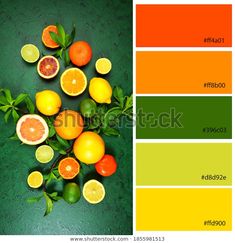 an image of citrus fruit with color swatches