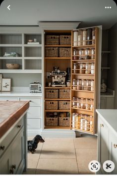 a dog is sitting in the middle of a kitchen with lots of shelves and baskets