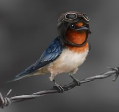 a bird with goggles on its head sitting on a barbed wire