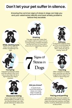 Stress in dogs is real, and it’s important to address it early. From restless pacing to humping behavior, recognise these signs to keep your furry friend happy. #DogStress #PetAnxiety #DogCare #HealthyDogs #HappyPets Good Manners, Clear Communication, Build Trust, Pet Training, Healthy Dogs, Happy Animals, Teaching Tips, Dog Care, Canning