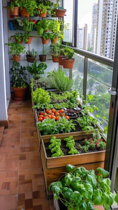 a balcony garden filled with lots of different types of vegetables and plants in wooden boxes