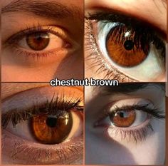 Eyes Speak, Amber Eyes, Novel Characters, Aesthetic Eyes