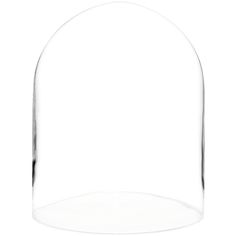 an empty glass dome on a white background