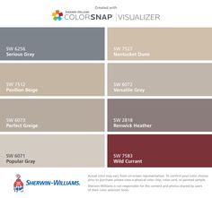 the color scheme for colorsnap visualizer, which is available in several different colors