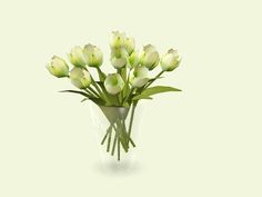 a vase filled with white flowers on top of a table