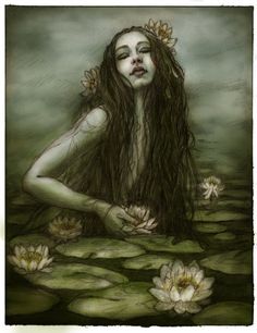 a woman with long hair sitting in water surrounded by lily pads