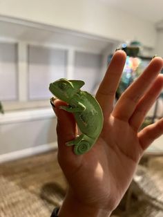 a small green chamelon sitting on the palm of someone's hand