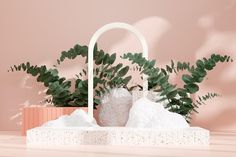 two vases with plants in them sitting on a table next to a pink wall