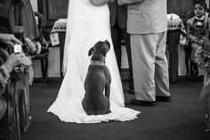 a man and woman standing next to a dog in front of a church pews