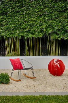 two red chairs sitting next to each other in front of a bamboo tree and shrubbery