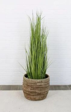 a large potted plant sitting on top of a wooden floor next to a white brick wall