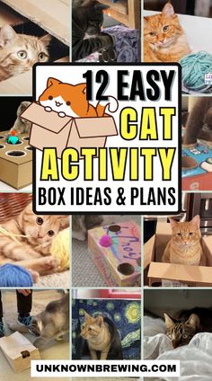 there are many different pictures of cats in boxes and the words, 12 easy cat activity box ideas & plans