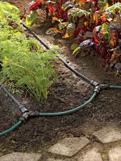 the garden hose is attached to the ground