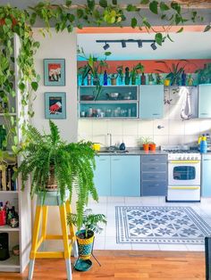 a kitchen filled with lots of green plants next to a stove top oven and refrigerator