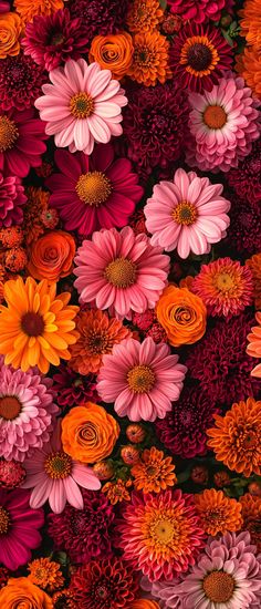 many different colored flowers are arranged together