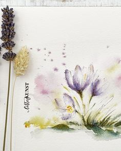 watercolor painting of lavender flowers on white paper