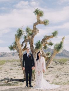 a bride and groom standing in front of a joshua tree