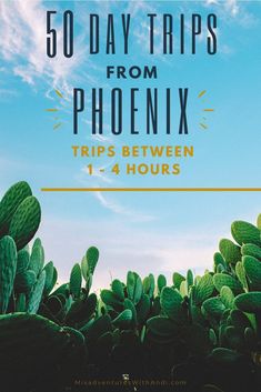 the cover of 50 days trips from phoenix trip between 1 - 4 hours