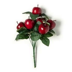 a bunch of red apples sitting on top of green leafy stems in front of a white wall