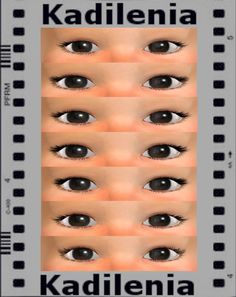 the different types of eyes are shown in this graphic file, which shows how to see them