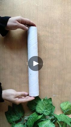 two hands holding a rolled up paper tube