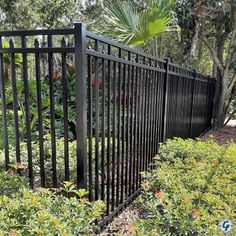 an iron fence in the middle of some bushes