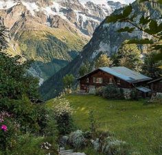 a cabin nestled in the mountains surrounded by greenery