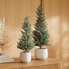 two potted plants sitting on top of a wooden shelf next to a glass vase